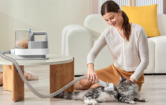 groom vacuum kit