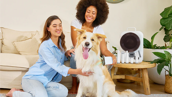 grooming at home