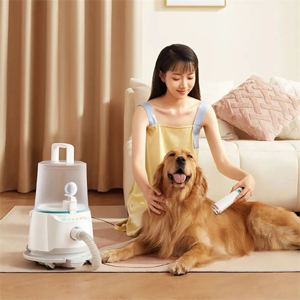 grooming cavuum kit