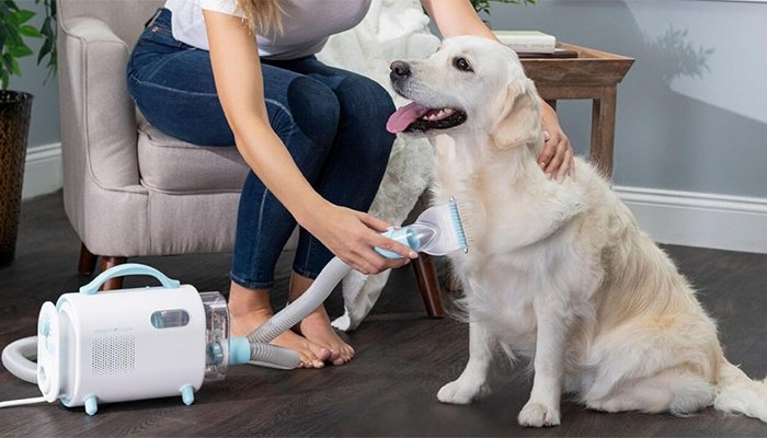 what is the best dog grooming vacuum