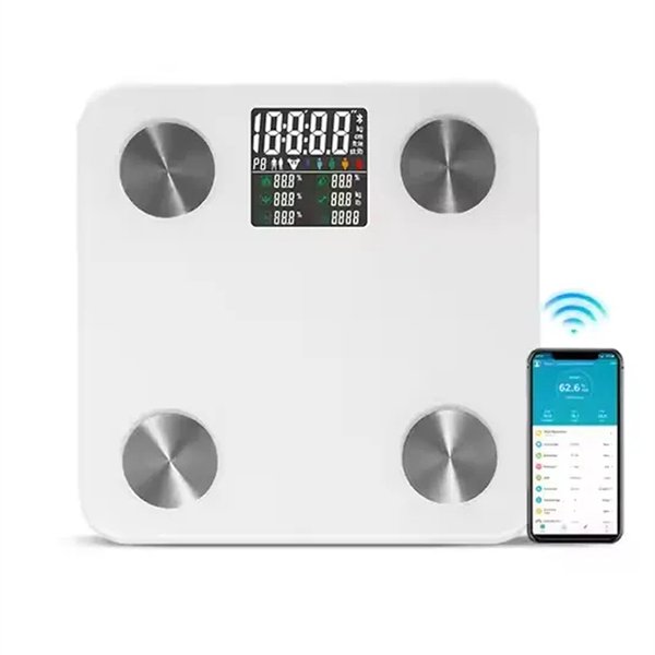 electronic body scale