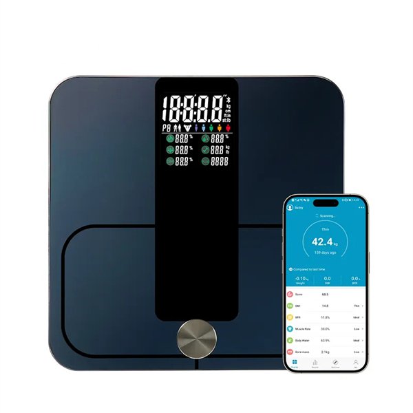 electronic body scale