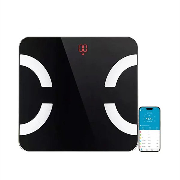 electronic body scale