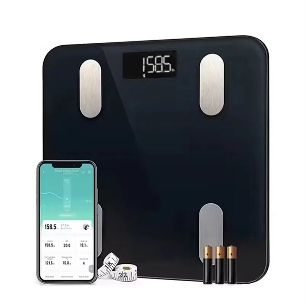 electronic body scale